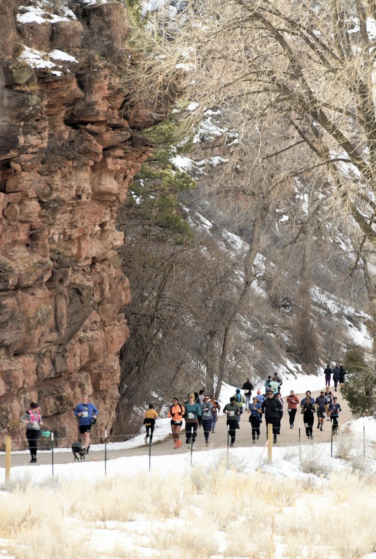 Half Marathon — event photo 2
